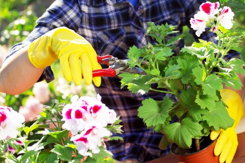 Accessibility request information for Redbridge landscaping website