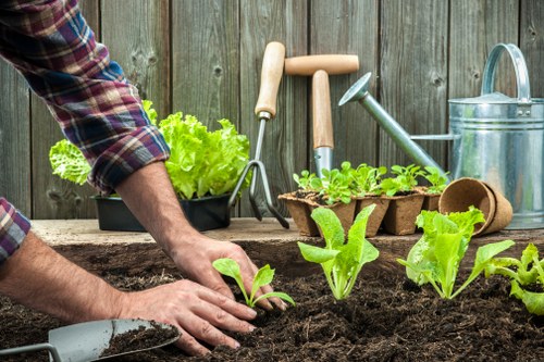 Professional garden landscaping features for Redbridge homes and outdoor spaces