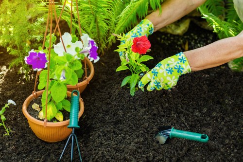 Professional landscaping in Redbridge creating a welcoming outdoor space