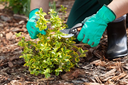 Safety inspection and risk assessment on a Redbridge landscaping site