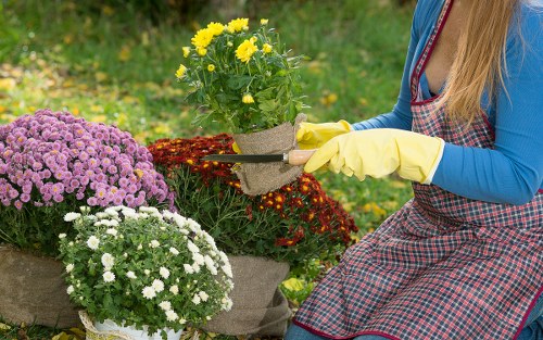 Cubic-yard material estimate for a landscaping project
