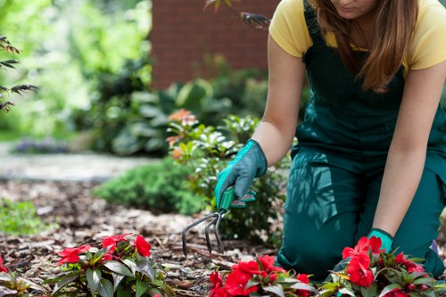 Family-friendly landscaped garden redesign in Redbridge