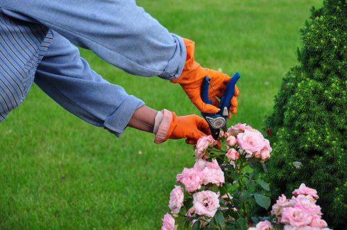 Thoughtful garden design and planting for a Redbridge property